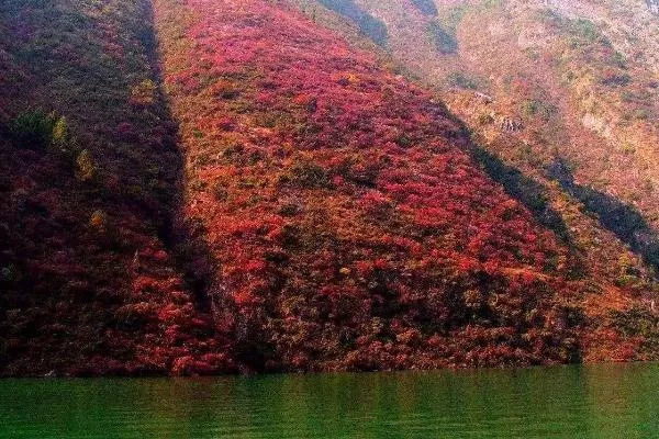秋天旅游最佳去處國內