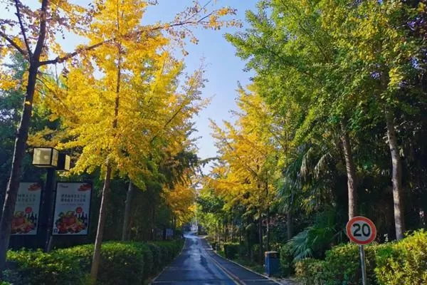 禾泉小鎮兩日游路線應該怎么安排