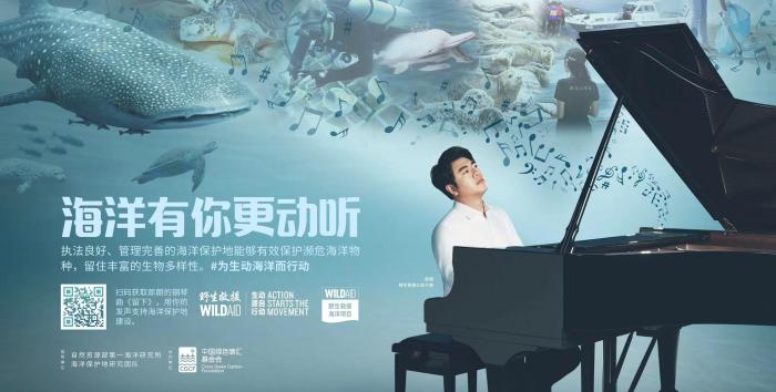 “海洋有你更動聽”公益宣傳片發(fā)布 郎朗邀網(wǎng)友共創(chuàng)主題曲《留下》(圖1)