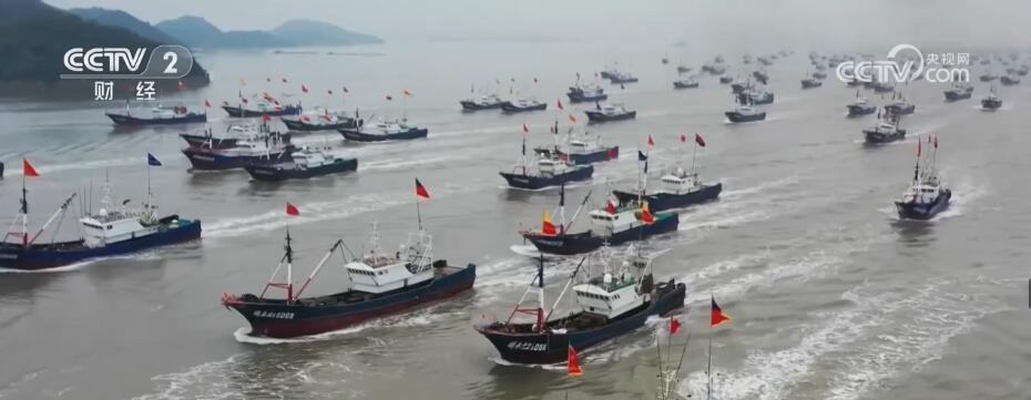 開漁啦！萬舸爭流競出海 魚肥蟹美慶豐收(圖3)