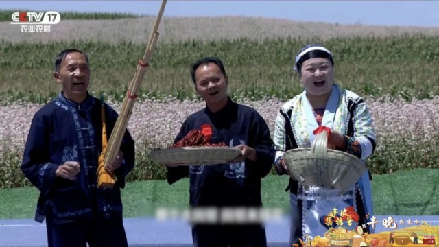 豐晚我來啦！《豐收集結號》探秘你不知道的“非遺”技藝(圖6)