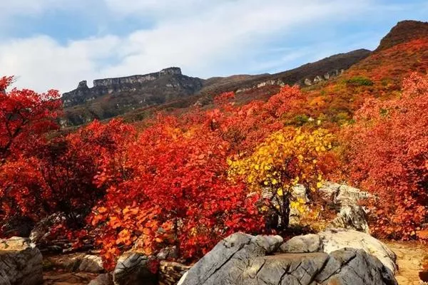 坡峰嶺附近景點有哪些