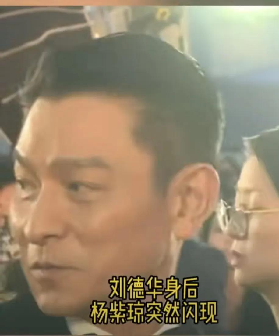 楊紫瓊突然勾肩劉德華，將對方嚇一跳，華哥透露驚喜消息(圖6)