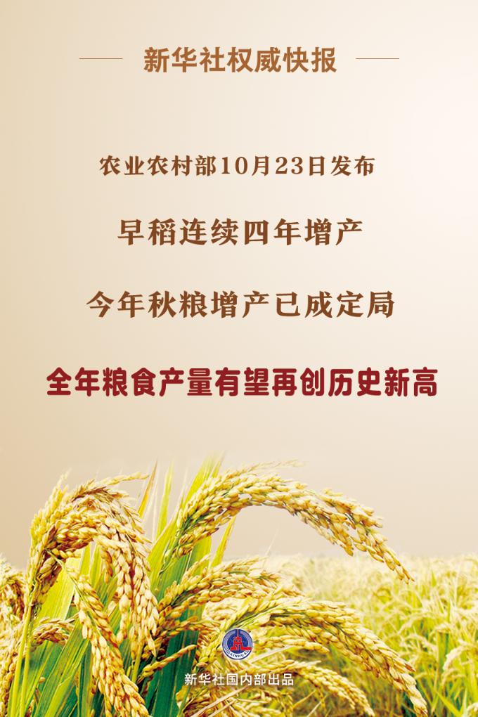 新華社權威快報|今年秋糧增產已成定局(圖1)