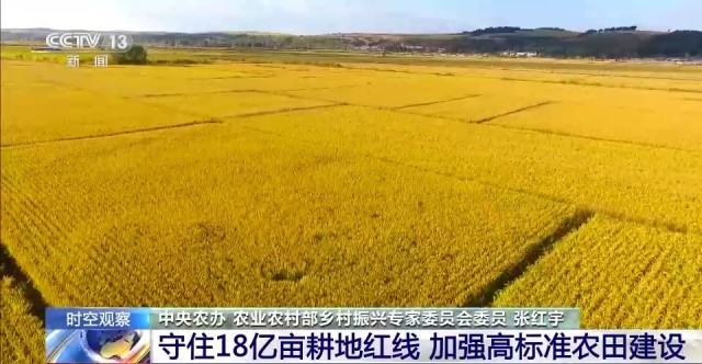 糧食產量有望再創新高 為何說來之不易？(圖6)