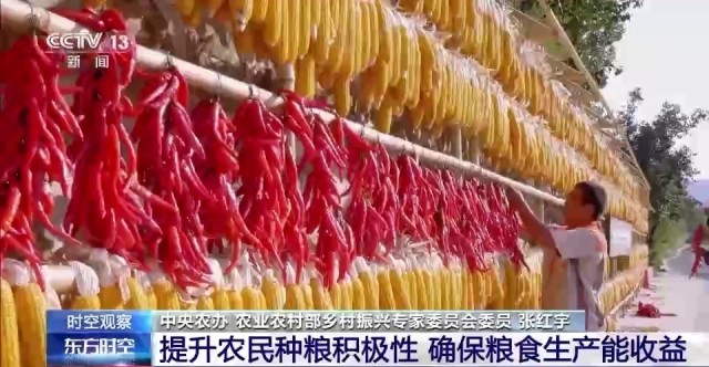 糧食產量有望再創新高 為何說來之不易？(圖7)