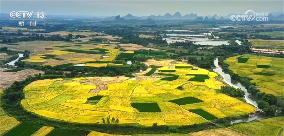 “多點發力”推動“全面開花” 中國經濟碩果累累、行穩致遠(圖16)