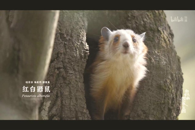 《我們的國家公園》：用鏡頭尋找人與自然的“焊點”(圖1)