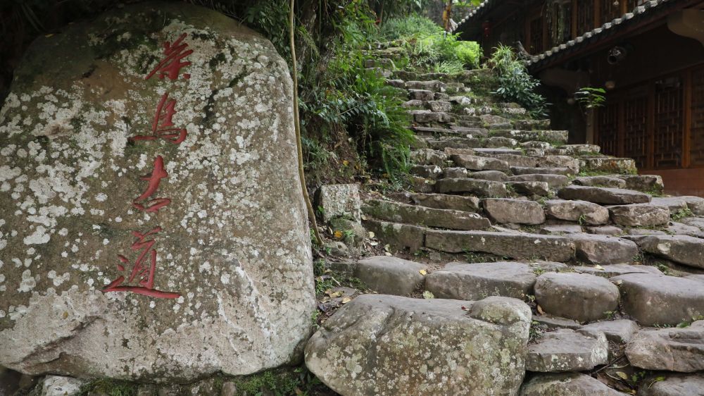 飛閱中國｜瞰茶馬古道 品千年茶香(圖8)