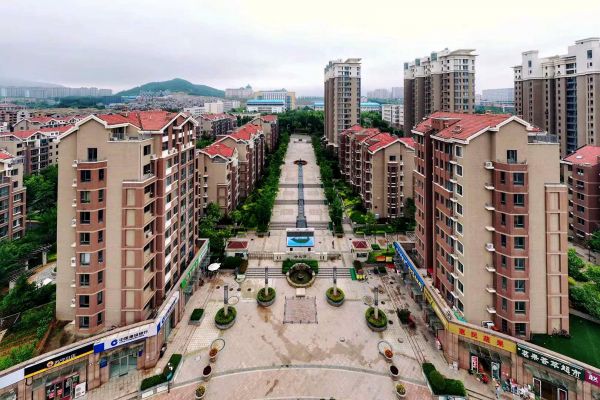 【大國新村：沿著總書記的足跡】山東青島：山海之間的鄉村振興路(圖6)