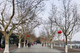 2024上海世紀(jì)公園賞梅游園會(huì)時(shí)間