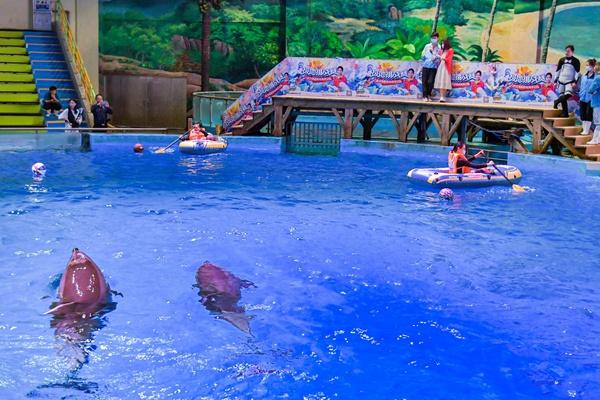 武漢海昌極地海洋公園停車場收費標(biāo)準(zhǔn)