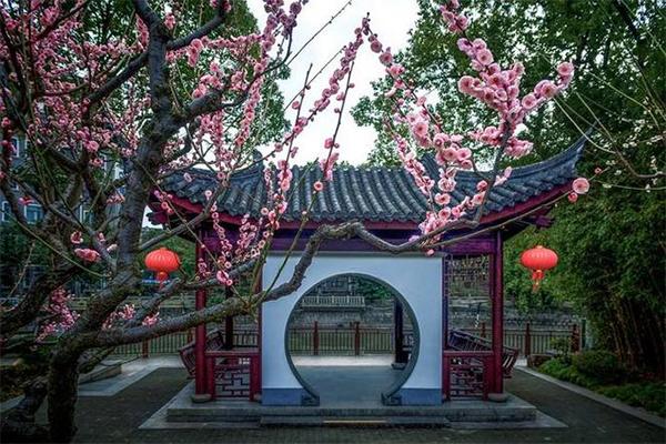 2024上海梅花節時間+地點+門票+交通+介紹