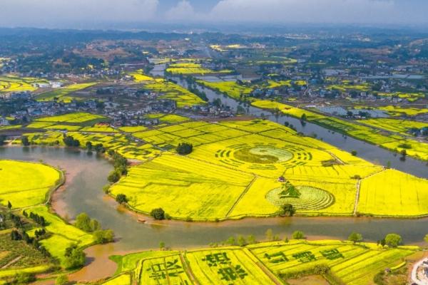 2024年重慶潼南菜花節什么時候舉行 時間-地點-門票