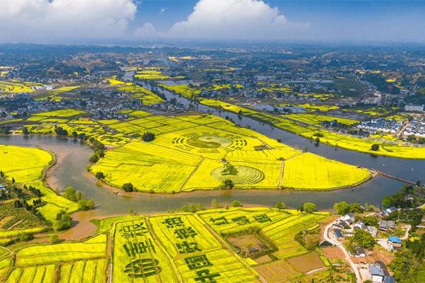 2024重慶潼南油菜花節門票+時間+地點+攻略