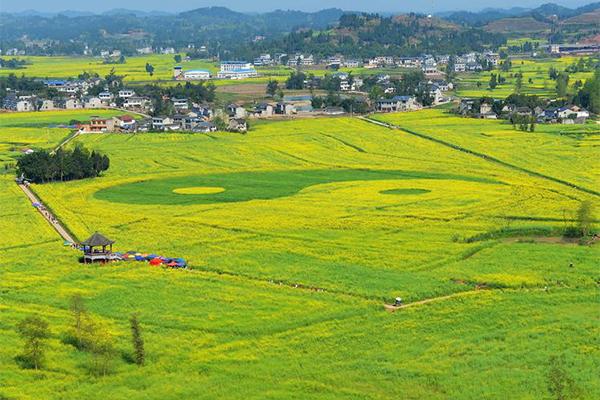 2024重慶潼南油菜花節門票+時間+地點+攻略