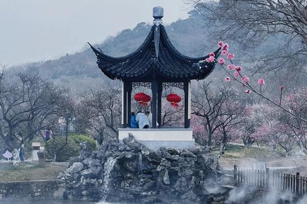 吳中太湖梅花節賞梅線路詳情