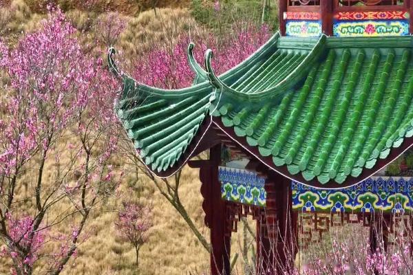 2024貴州梅園門票優惠政策