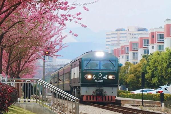 開遠觀光小火車門票優惠政策2024