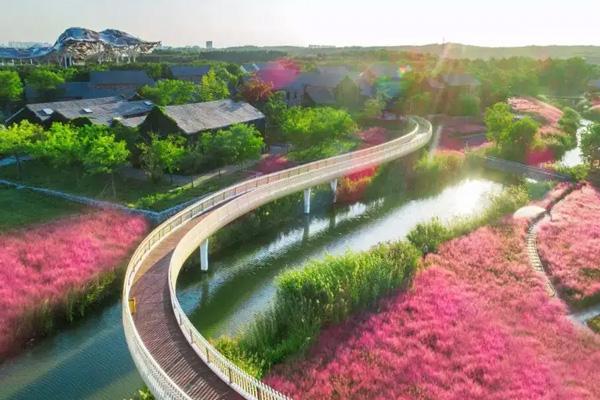 三臺(tái)山森林公園門票優(yōu)惠政策2024
