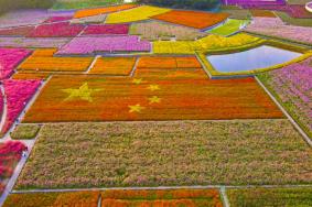 三臺山森林公園門票優(yōu)惠政策2024