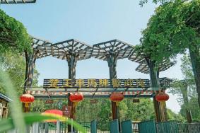 楚王車馬陣景區開放時間