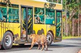 2024阜陽野生動物園開放時間