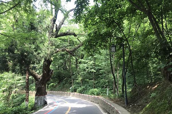 雞公山一日游最佳線路推薦 這份詳細的攻略值得借鑒