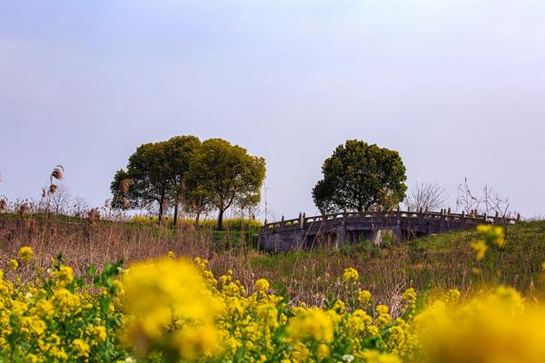 蘇州春季賞花景點有哪些