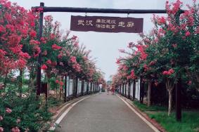 紫薇都市田園門(mén)票價(jià)格2024