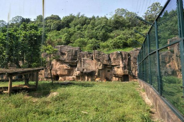 長沙生態動物園游玩攻略 一日游最佳路線