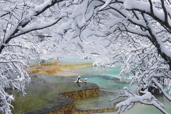 黃龍景區一日游攻略