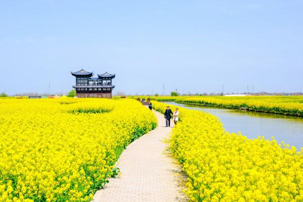興化千垛景區門票優惠政策2024