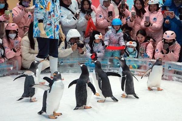 2024正佳企鵝冰雪世界門票優惠政策