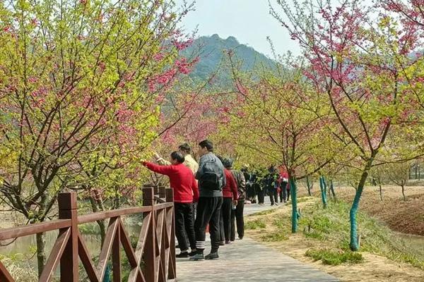 2024湘潭櫻花園門票價格 附優惠政策