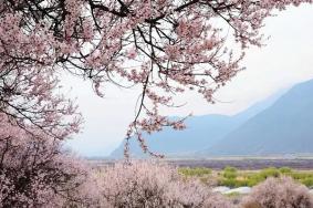 西藏最佳旅游季節是幾月份