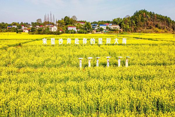 長沙油菜花欣賞有哪些地方