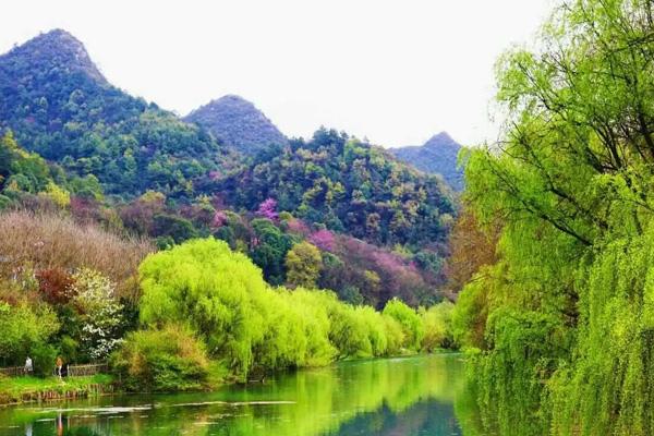 貴陽賞花的地方有哪些