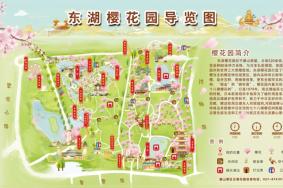 2024東湖櫻花園詳細游玩攻略