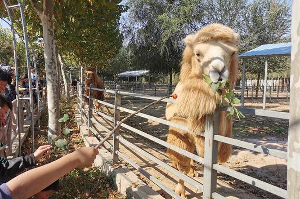 2024濱河野生動物世界門票優惠政策