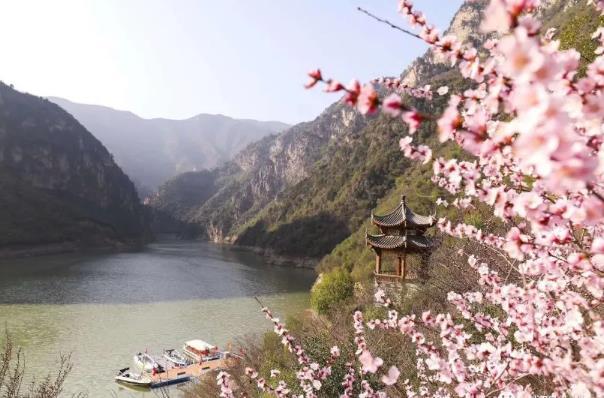 2024鄭國渠山野桃花節時間及地點