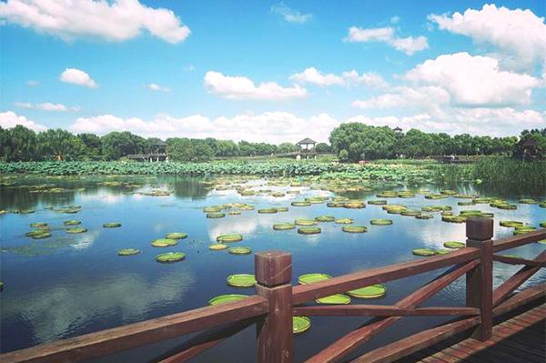 2024荷塘月色濕地公園門票優惠政策