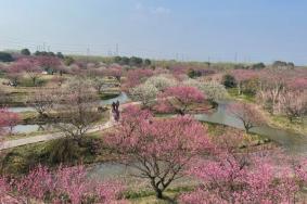 花開海上生態園最佳觀賞時間2024