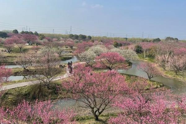 花開海上生態(tài)園門票價格2024