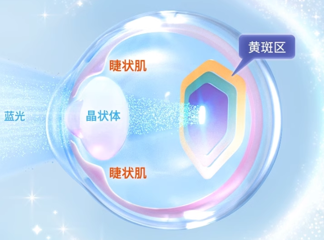 
			首創兒童立體護眼，inne藍光盾葉黃素全面防藍光保護視力領先一步
		(圖1)