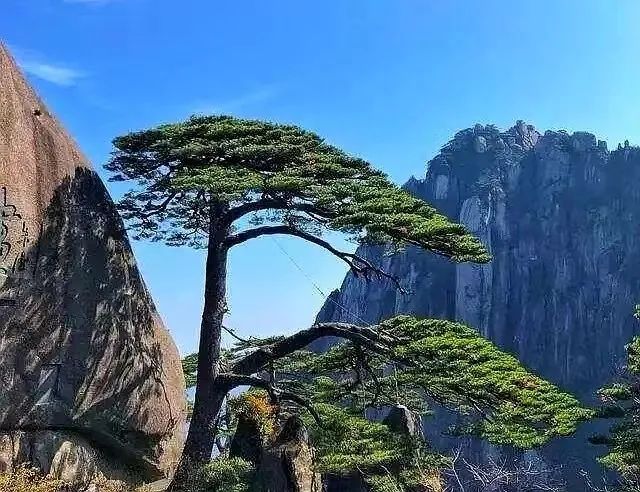 青海省水井巷集團(tuán)周報(bào)(2024年第11期)(圖5) 5.jpg