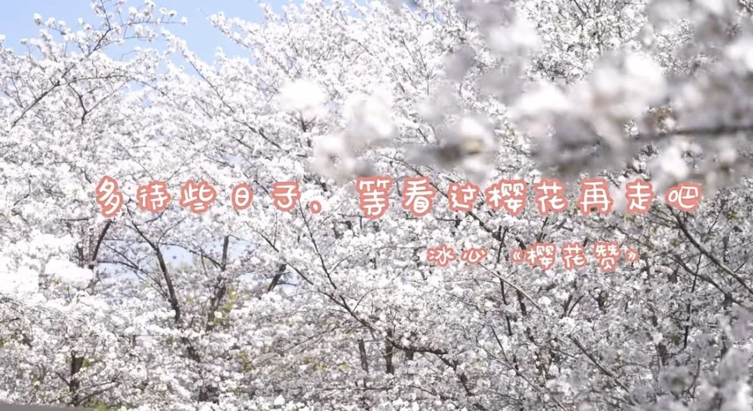 新城悅服務(wù)2023年度成績單：聚優(yōu)升質(zhì)，幸福進化
