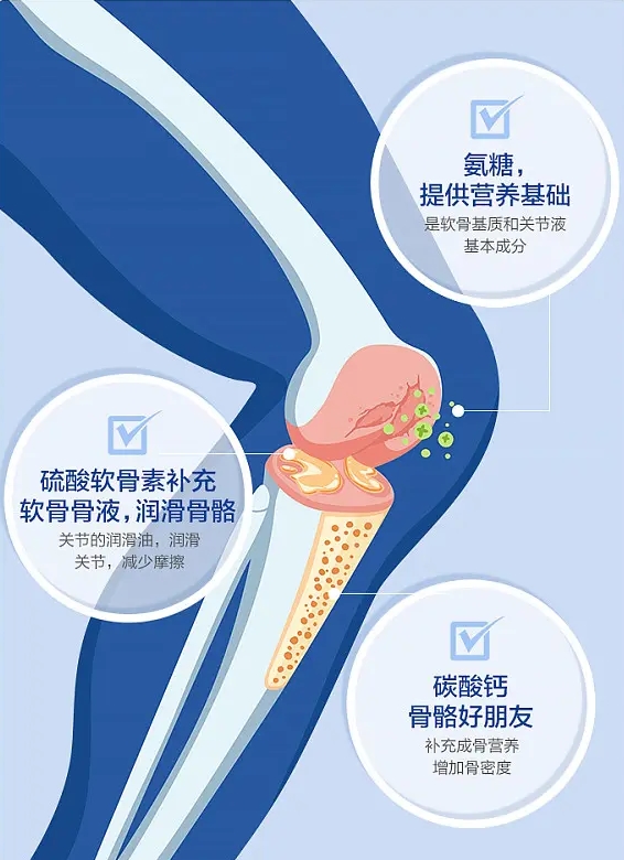 守護(hù)關(guān)節(jié)健康 揭秘氨糖軟骨素鈣片的功效(圖2)