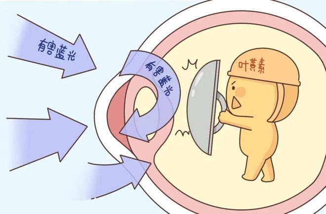 葉黃素對眼睛真的有效嗎？一文讀懂它的功效與作用