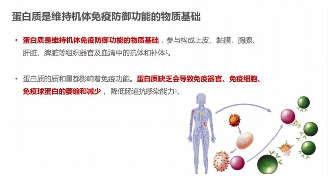選購(gòu)蛋白粉不再迷茫：蛋白粉哪個(gè)牌子好，一文告訴你補(bǔ)充蛋白質(zhì)提高免疫力吃什么